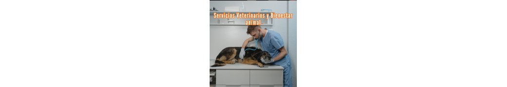 Veterinarios. Bienestar animal